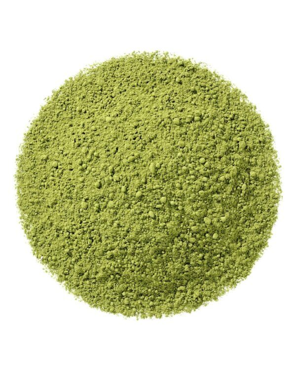 Trending Tea - Matcha - Everyday Bio