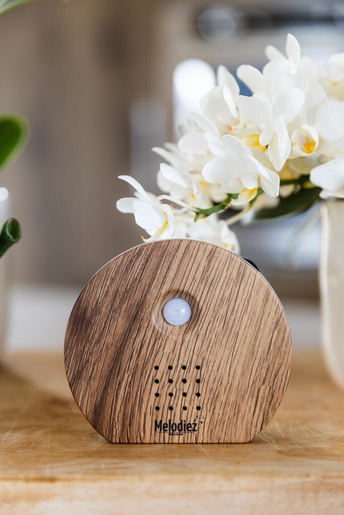 Melodiez - Natuurgeluiden box, 'Eikenhout'