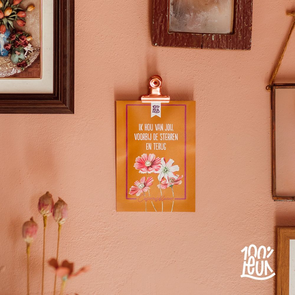 Bloemenzaadjes 'Ik hou van jou', Cosmosbloem – 100% Leuk