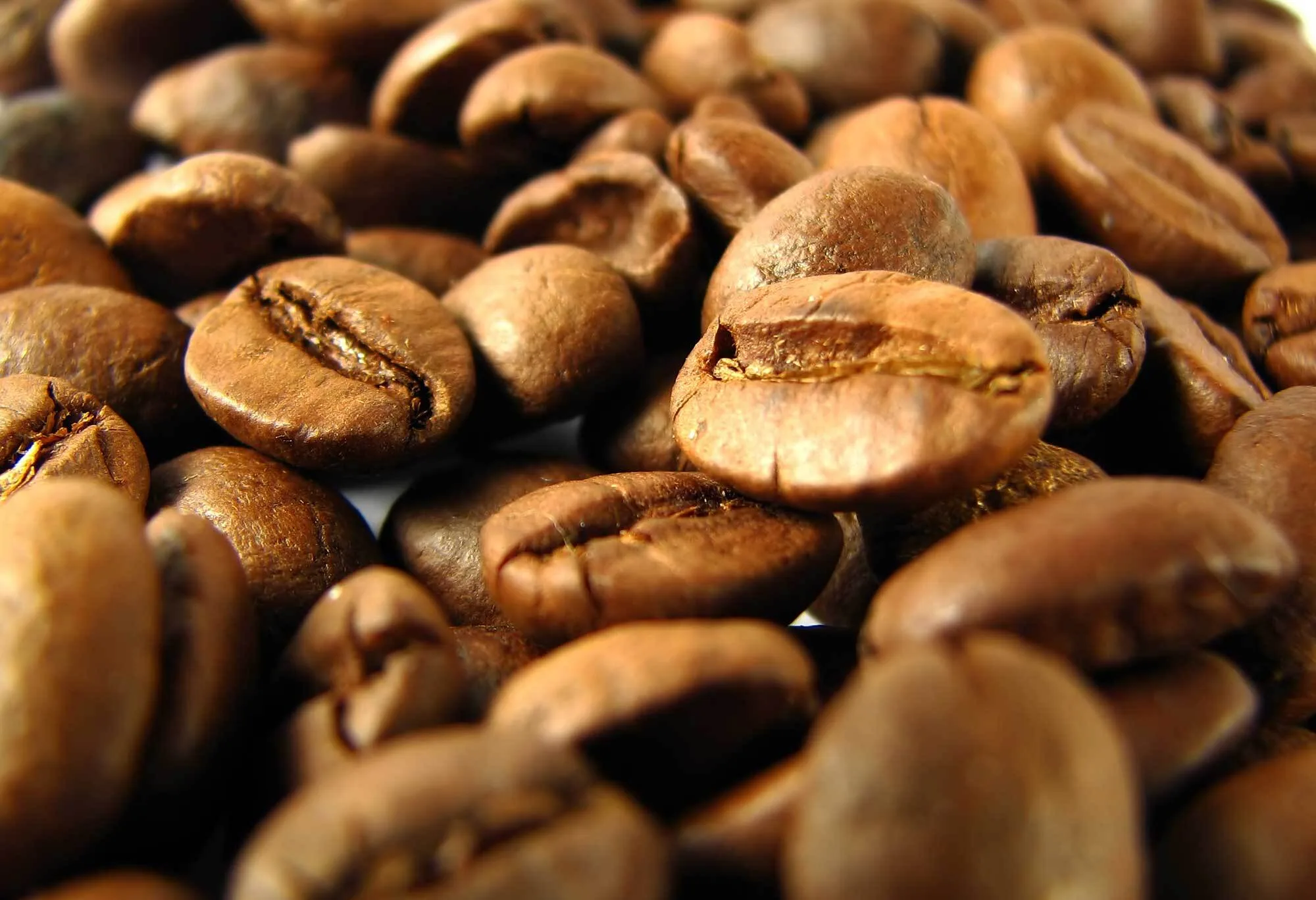 Welke espressobonen zijn geschikt voor een volautomaat?