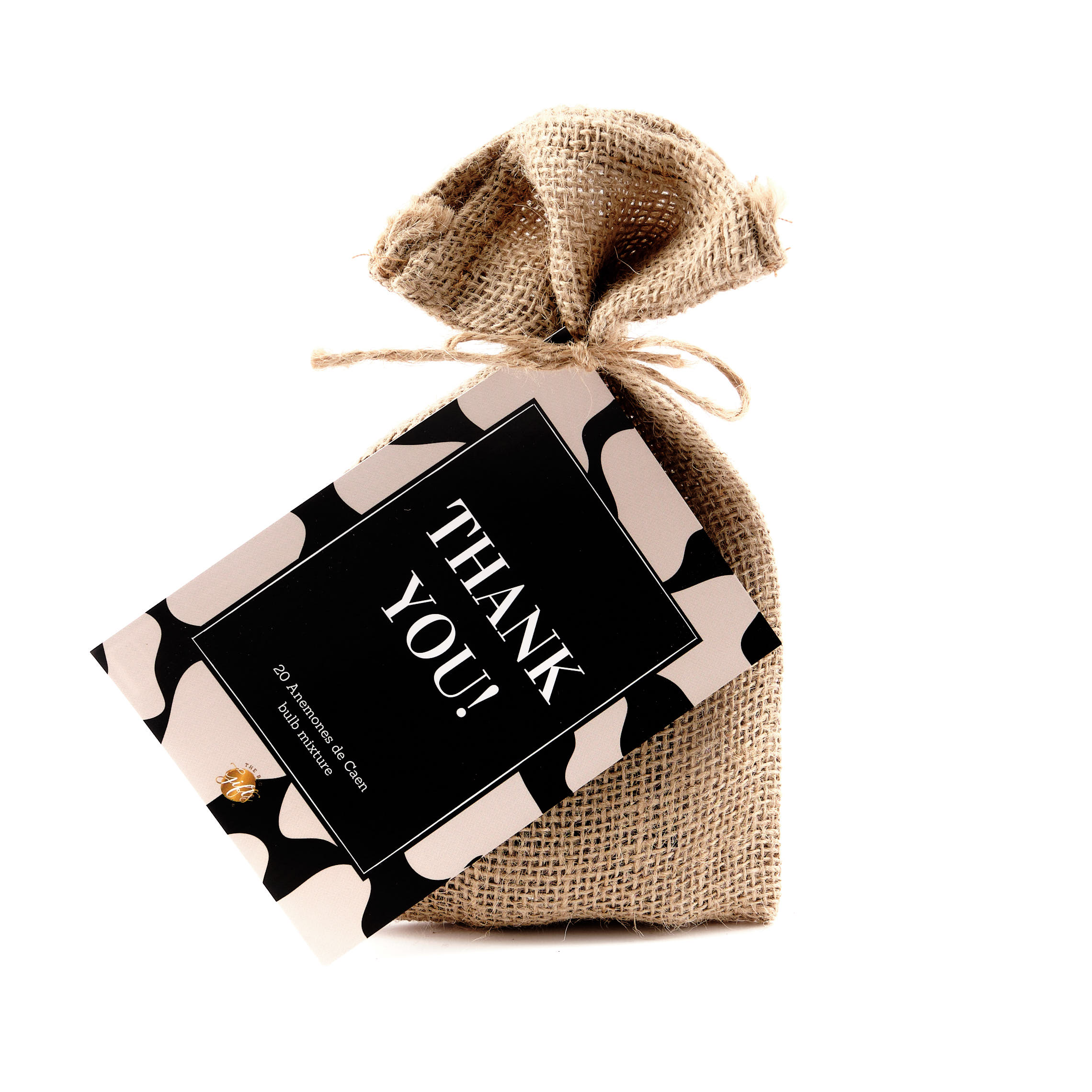 The Big Gifts - Bloembollen, 'Thank You'