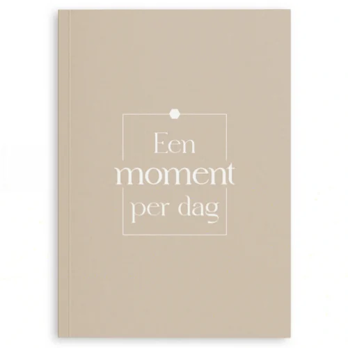 Fyllbooks Een moment per dag dagboek, 2 kleuren