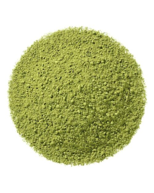 TrendingTea - Matcha - Everyday
